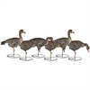 Picture of **FREE SHIPPING** Specklebelly  Whitefront Full Body Goose Decoys by Dakota Decoys