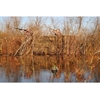 Picture of REAL GRASS MATS - NATURAL by AVERY Outdoors Greenhead Gear GHG