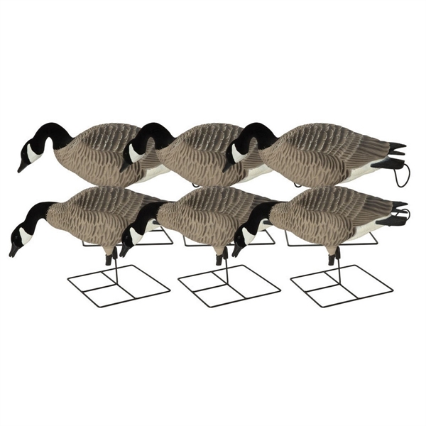 Prairiewind Decoys. **FREE SHIPPING** ProGrade XD Canada Goose Decoys