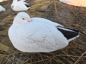 Picture of **FREE SHIPPING** Sleeper Snow Goose Shell Decoys by Greenhead Gear GHG Avery Outdoors