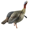 Picture of HDR Jake Turkey Decoy by Avian-X Decoys