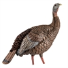 Picture of HDR Hen Turkey Decoy by Avian-X Decoys