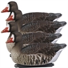 Picture of *FREE SHIPPING* FFD Elite Specklebelly Floating Goose Decoys 4 pk by Greenhead Gear