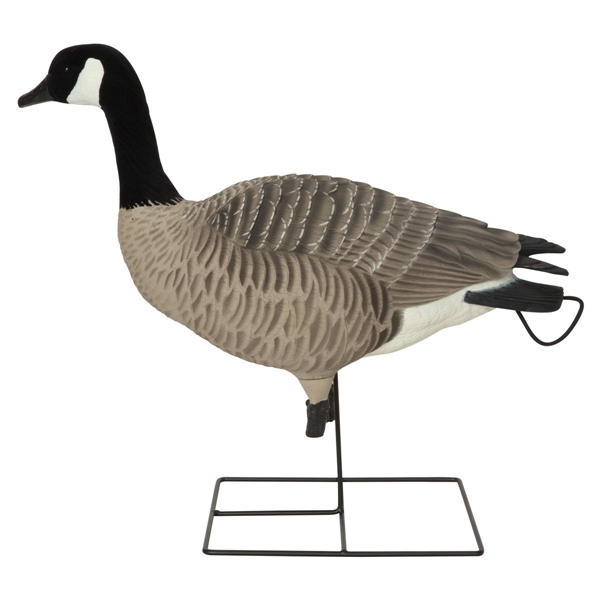 Prairiewind Decoys. **FREE SHIPPING** ProGrade XD Canada Goose Decoys