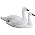 Picture of Tundra Swan 2 pk - HO66132