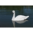 Picture of **SALE** Tundra Swan Decoys 2pk by Higdon Outdoors
