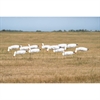 Picture of *FREE SHIPPING*  Pro Grade Snow Goose WindSock Decoys with Heads by Greenhead Gear GHG